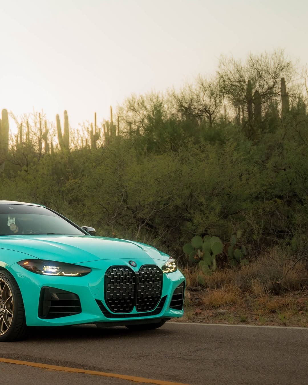 Tiffany Blue on BMW — Clear Choice Autoshield